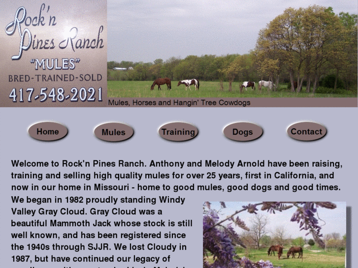 www.rocknpinesranch.com