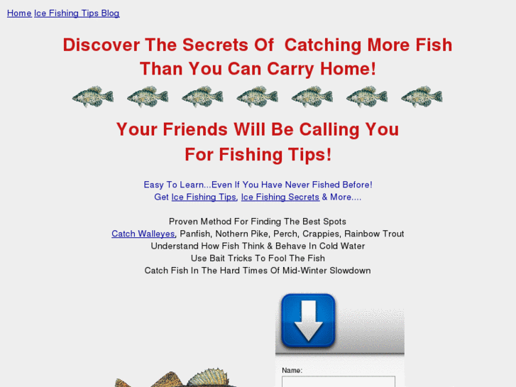 www.secreticefishingtips.com