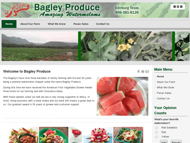 www.bagleyproduce.com