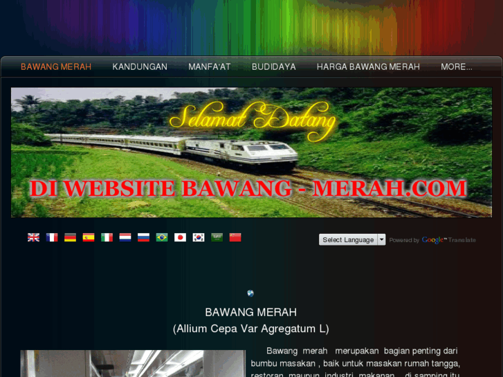 www.bawang-merah.com