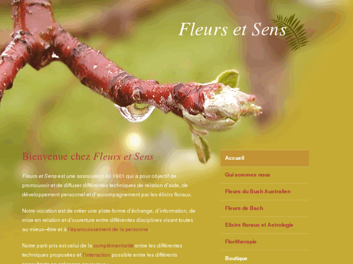 www.fleurs-et-sens.com