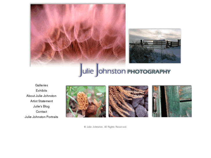 www.juliejohnstonphotography.com