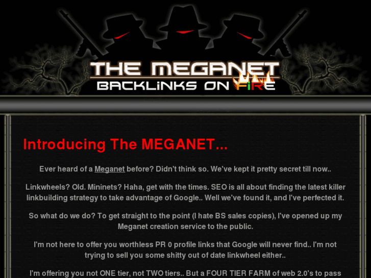 www.meganets.com