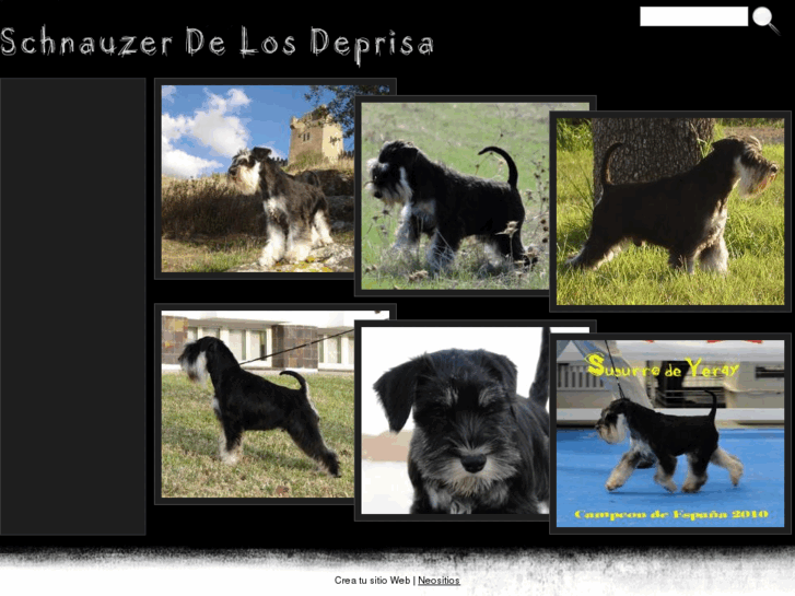 www.schnauzerdelosdeprisa.com