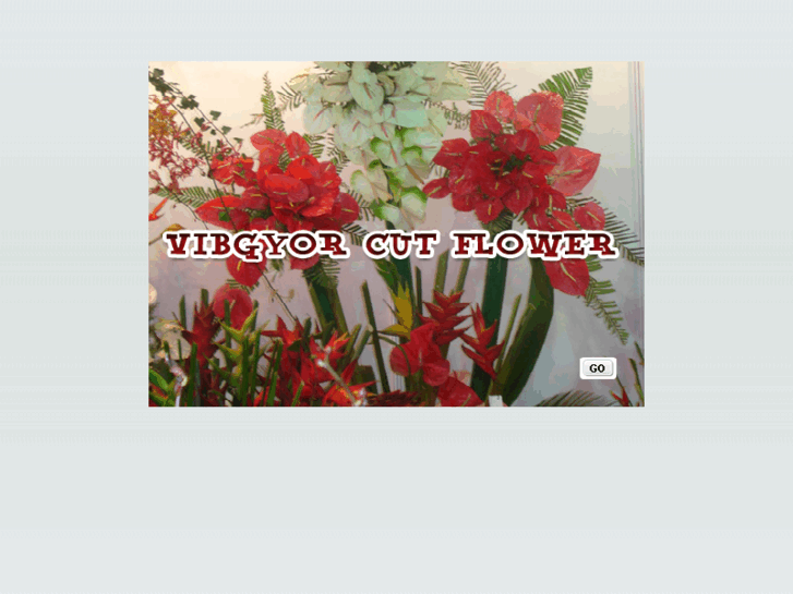 www.vibgyorcutflowers.com