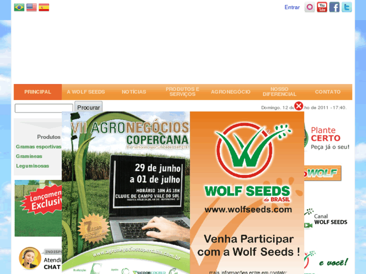 www.wolfseeds.com