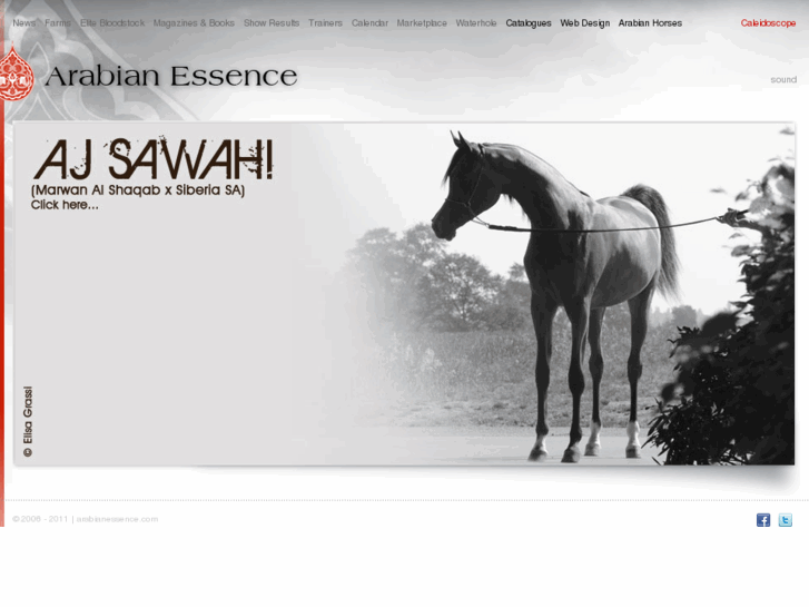 www.arabianessence.com