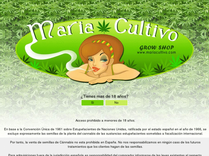 www.mariacultivo.com