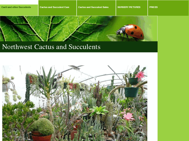 www.nwcactus.com