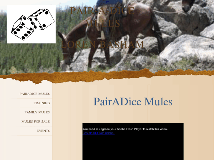 www.pairadicemules.com