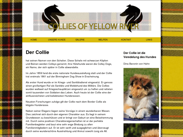 www.collies-of-yellow-river.com