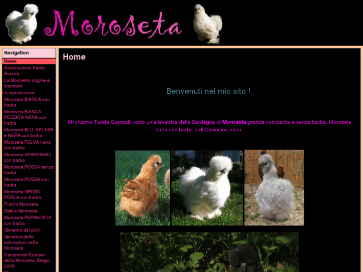 www.moroseta.com