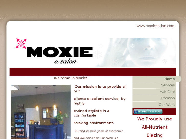 www.moxieasalon.com