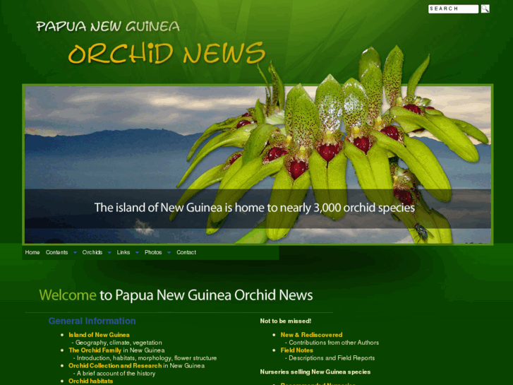 www.orchidspng.com