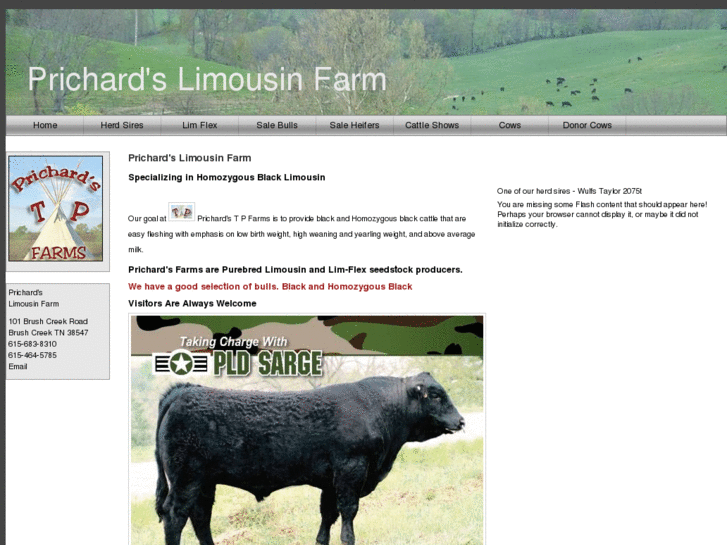 www.prichardlimousinfarm.com