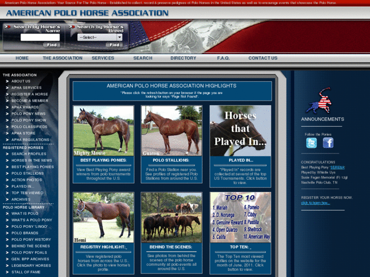 www.americanpolohorse.com