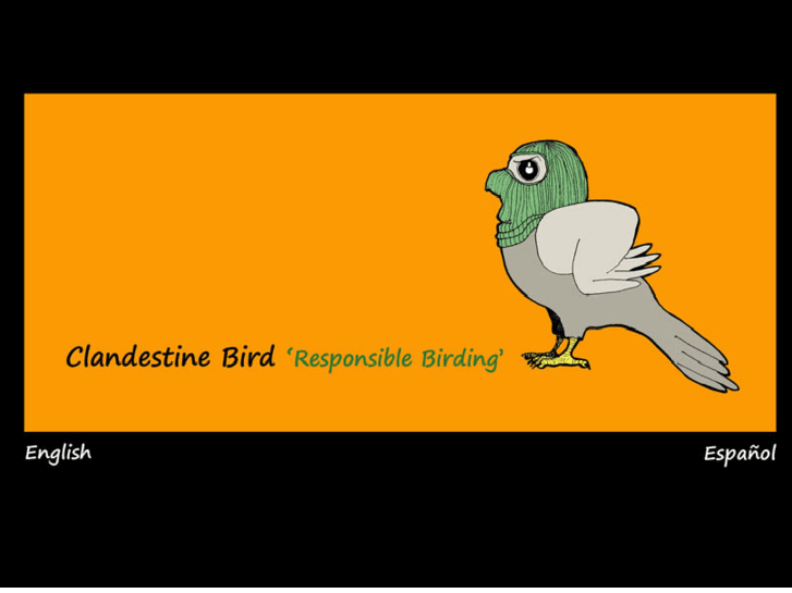 www.clandestinebird.com