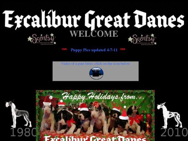 www.excaliburgreatdanes.com