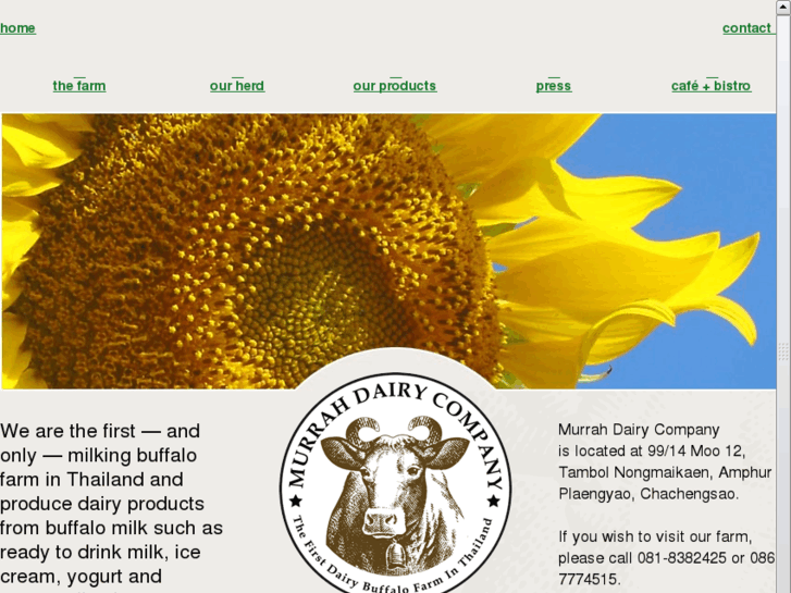 www.murrahdairy.com