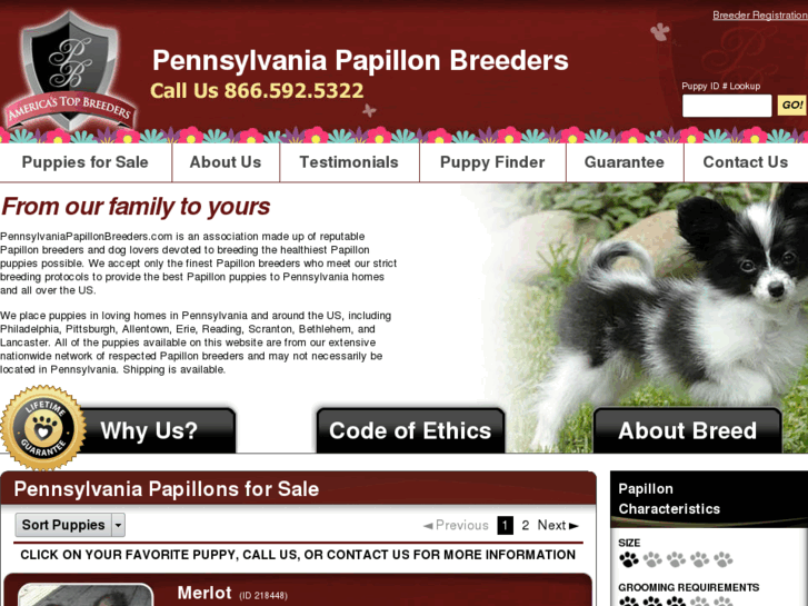 www.pennsylvaniapapillonbreeders.com