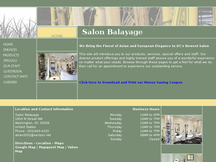 www.salonbalayage.com