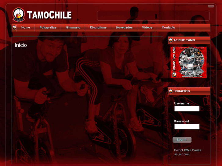 www.tamochile.com