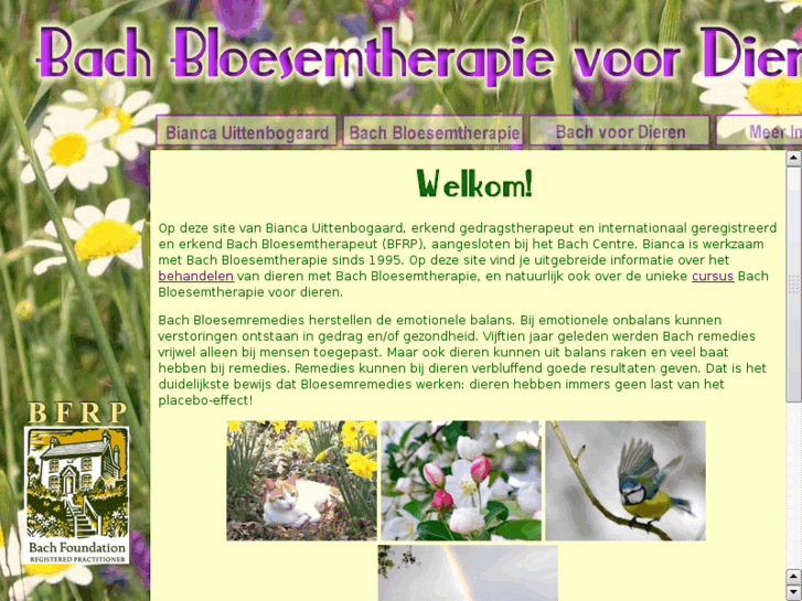 www.bachvoordieren.com