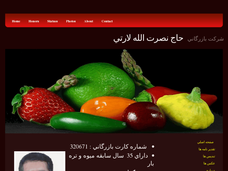 www.bazargani-larti.com