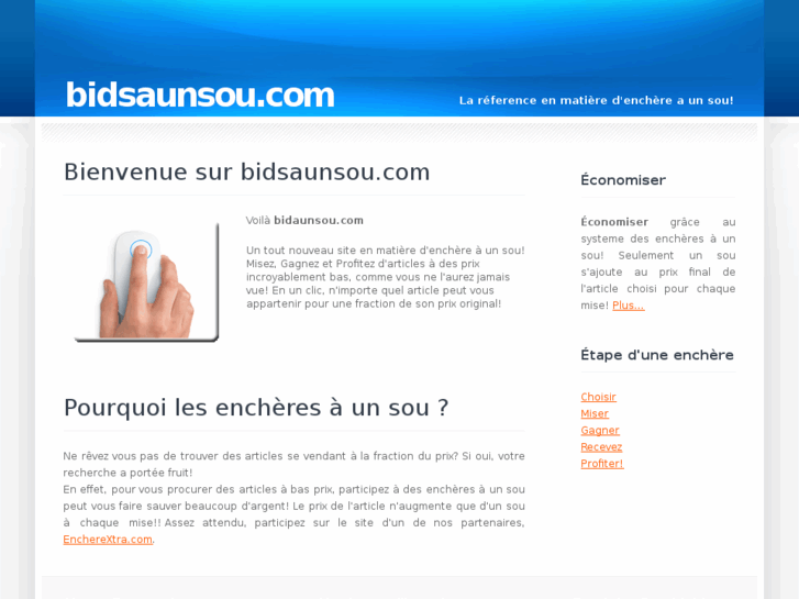 www.bidaunsou.com