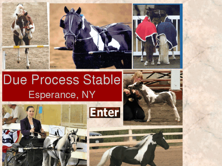 www.dueprocessstable.org