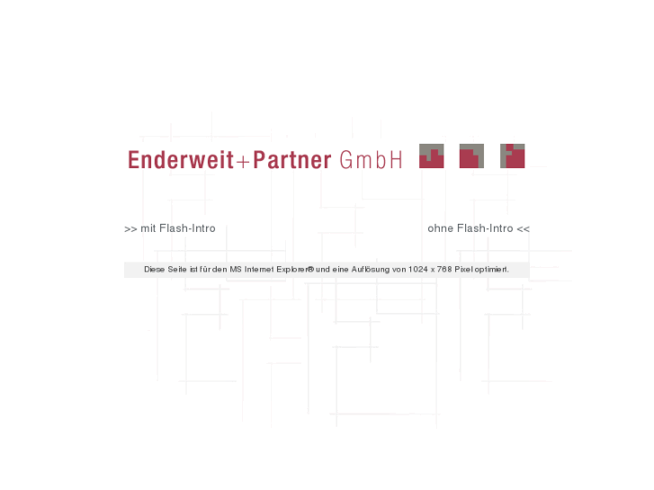 www.enderweit.de