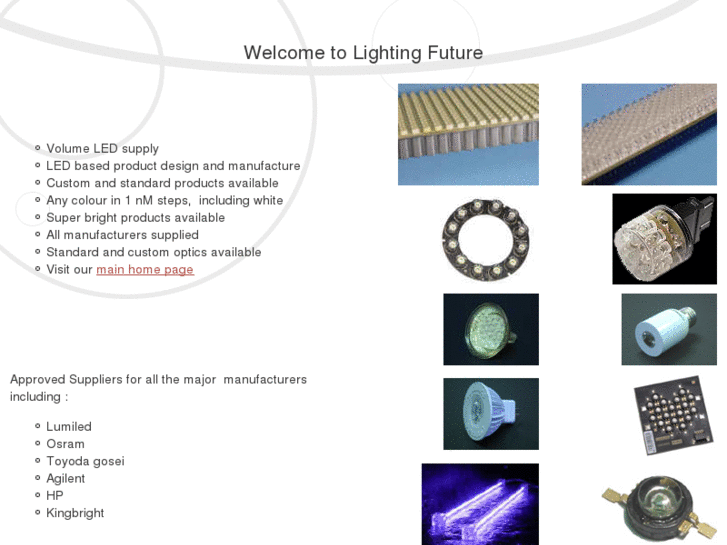 www.lightingfuture.info