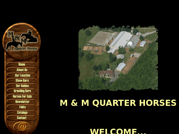 www.mm-quarterhorse.com