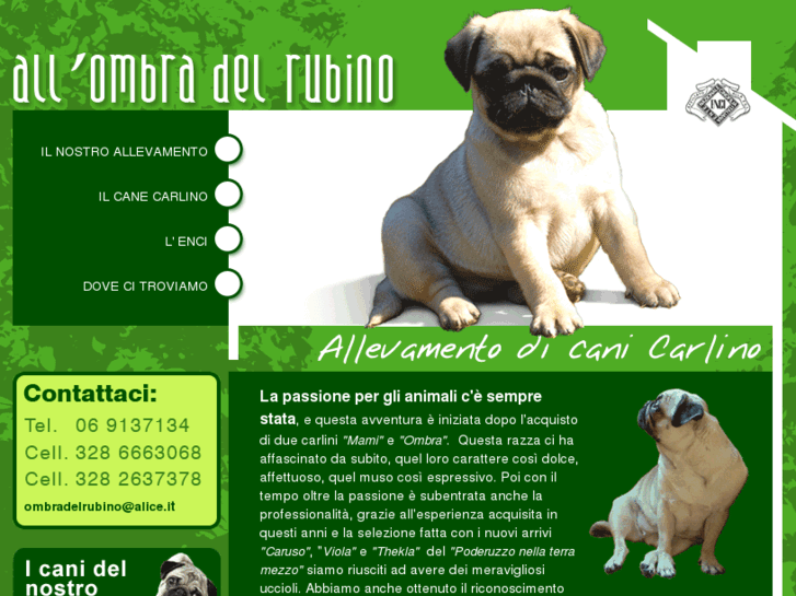 www.ombradelrubino.com