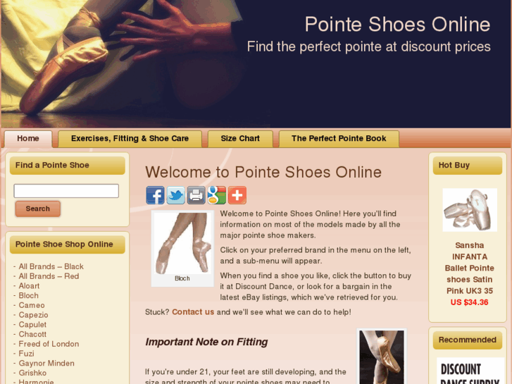 www.pointeshoesonline.com