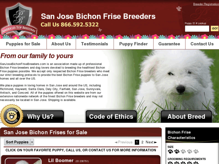 www.sanjosebichonfrisebreeders.com