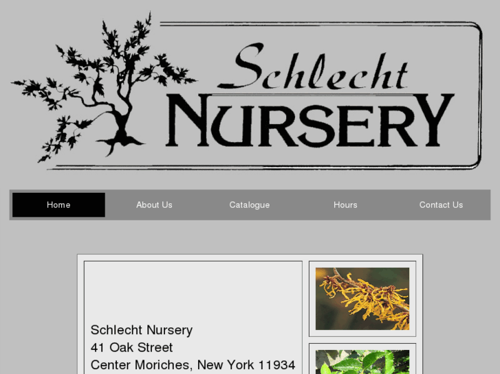 www.schlechtnursery.com