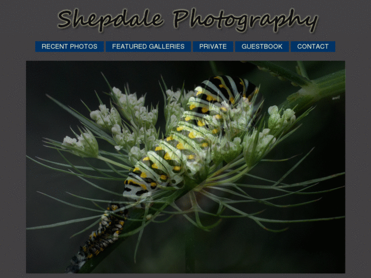 www.shepdalephoto.com