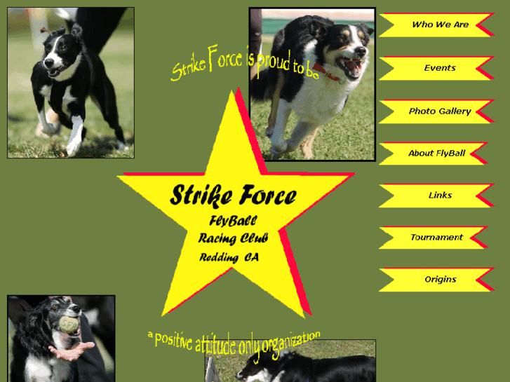 www.strikeforceflyball.com