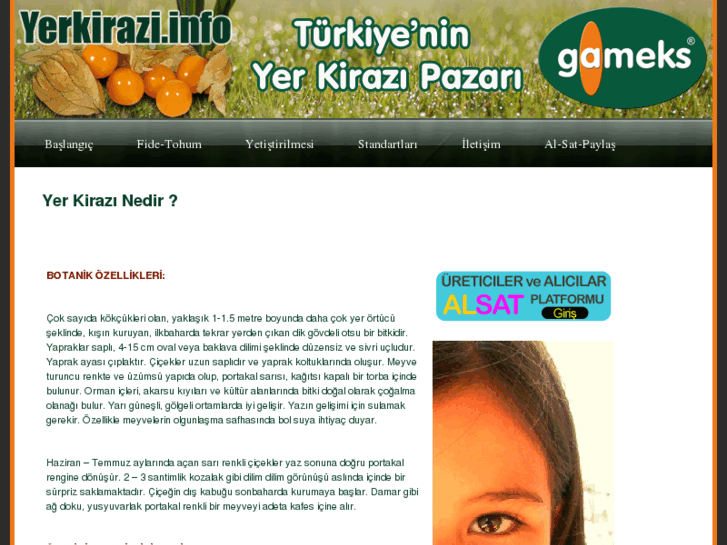 www.yerkirazi.info