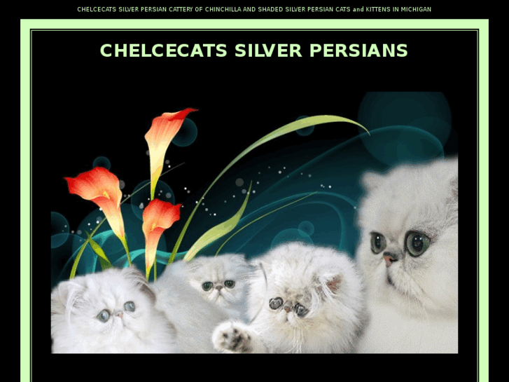www.chelcecats.com