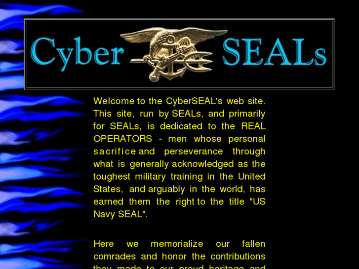 www.cyberseals.org