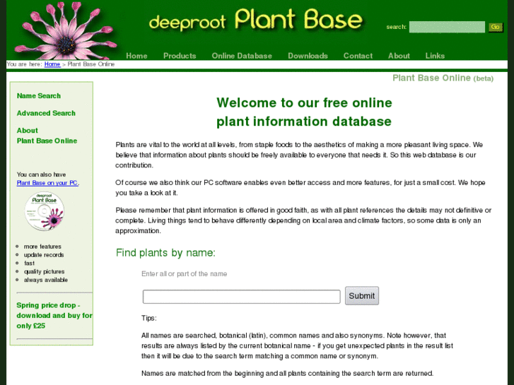 www.deeproot.info