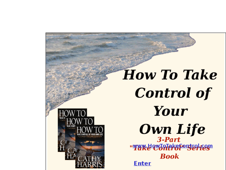 www.howtotakecontrol.com