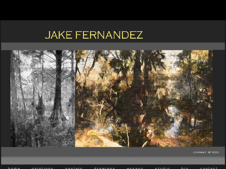 www.jakefernandez.com