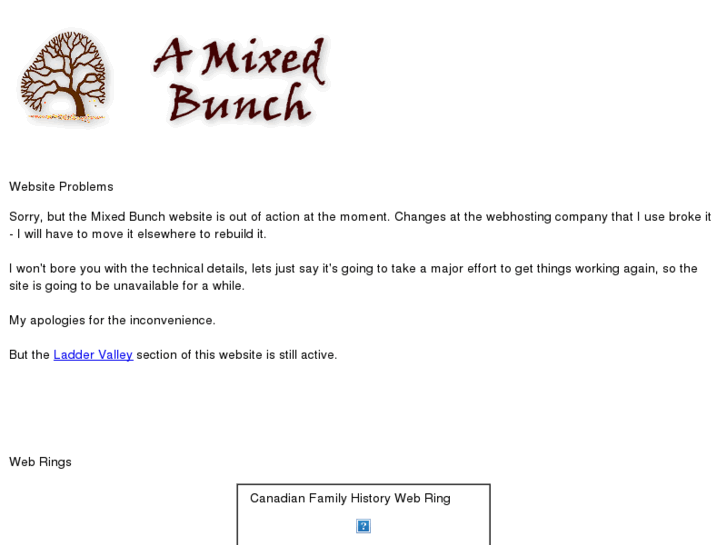 www.mixedbunch.com