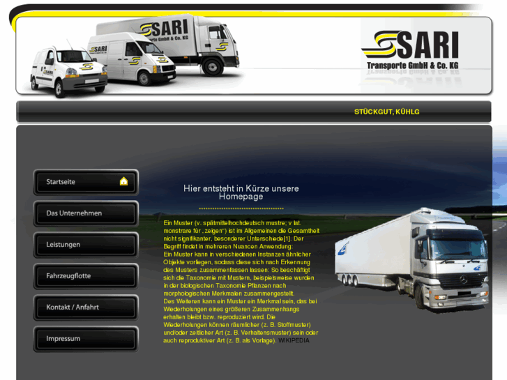 www.sari-transporte.com