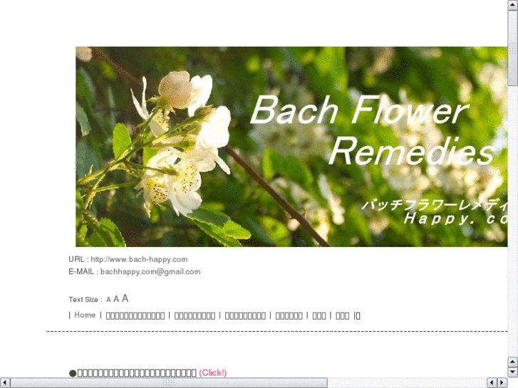 www.bach-happy.com