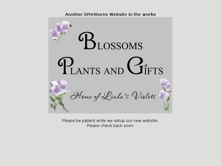 www.blossomsplantsandgifts.com