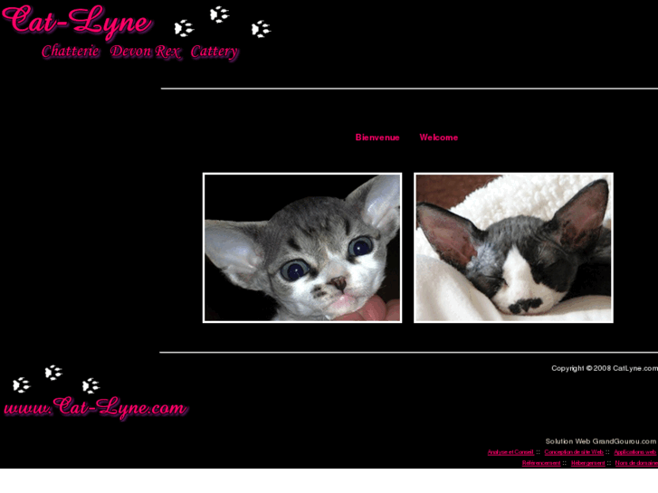 www.cat-lyne.com